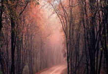 配资网络配资炒股:股票交流平台有哪些-13家银行个人存款同比仍增11.9万亿 定期化趋势未显著缓解